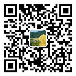 手机购彩登录大厅首页